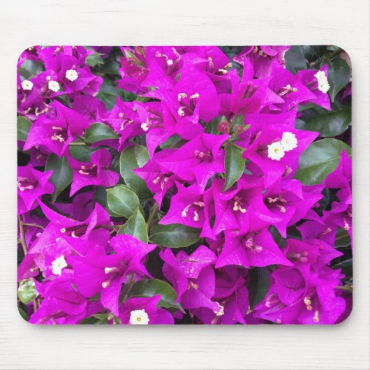 Lebhafte Lila Bougainvillea-Blume Mousepad (Vorne)