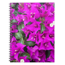 Lebhafte Lila Bougainvillea-Blume Notizblock