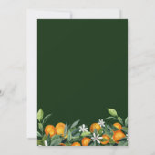 Lebhafte Mandarine Citrus Blätter Aquarellfeier Einladung (Rückseite)