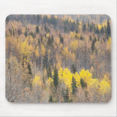 Lebhafte Mousepad im Herbstwald (Vorne)