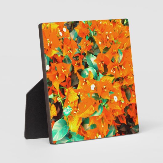 Lebhafte Orange Bougainvillea Blume Fotoplatte (Vorderseite)