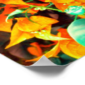 Lebhafte Orange Bougainvillea Blume Poster (Ecke)