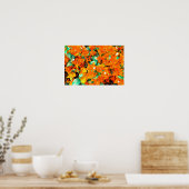 Lebhafte Orange Bougainvillea Blume Poster (Küche)