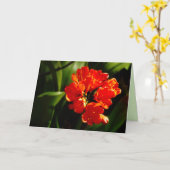 Lebhafte Orangefarbene Blume, Blütengrüße Karte (Gelbe Blume)