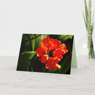 Lebhafte Orangefarbene Blume, Blütengrüße Karte