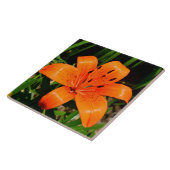 Lebhafte Orangenlilie-Blume Fliese (Seite)