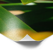 Lebhafte Orangenlilie-Blume Fotodruck (Ecke)