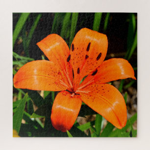 Lebhafte Orangenlilie-Blume Puzzle