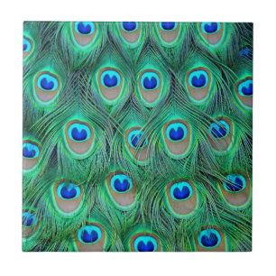 Lebhafte Peacock Feathers Fliese