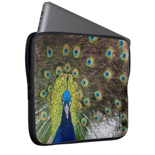 Lebhafte Peacock Feathers Laptopschutzhülle (Vorne Rechts)