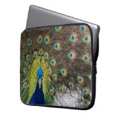 Lebhafte Peacock Feathers Laptopschutzhülle (Vorderseite Links)