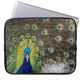 Lebhafte Peacock Feathers Laptopschutzhülle