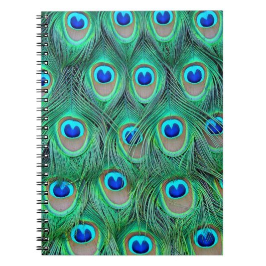 Lebhafte Peacock Feathers Notizblock (Vorderseite)