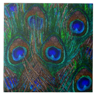 Lebhafte Pfauenfedern Etching Style Decor Fliese