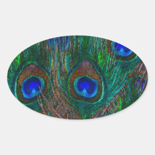 Lebhafte Pfauenfedern Etching Style Decor Ovaler Aufkleber