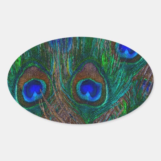 Lebhafte Pfauenfedern Etching Style Decor Ovaler Aufkleber (Vorderseite)