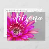 Lebhafte Pink Cactus Blume Petals, Arizona Postkarte (Vorne/Hinten)