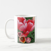 lebhafte Pink Tulpe Blume Foto - Tee-Kaffee-Tasse