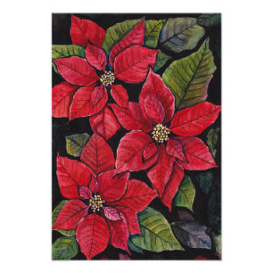Lebhafte Poinsettia in Wasserfarbe Fotodruck