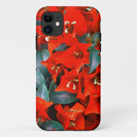 Lebhafte Red Bougainvillea Blume Case-Mate iPhone Hülle (Rückseite)