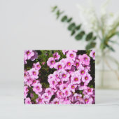 Lebhafte, rosa blühende Blume Postkarte (Stehend Vorderseite)