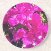 Lebhafte rosa Blüte Getränkeuntersetzer (Vorne)