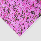 Lebhafte rosa Blüte Seidenpapier (Ausschnitt)