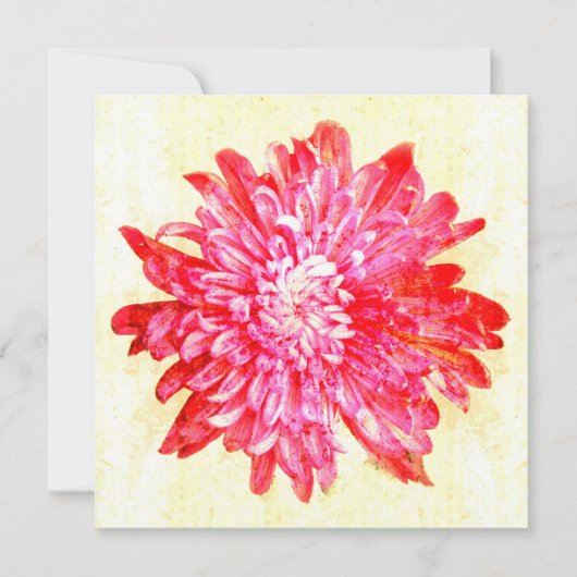 Lebhafte Rosa Chrysanthemum-Blume Einladung (Vorderseite)