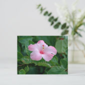 Lebhafte rosa Hibiskus-Blume Postkarte (Stehend Vorderseite)