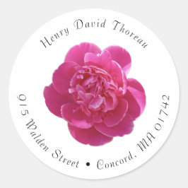 Lebhafte Rosa Peony Blume Round Address Labels Runder Aufkleber