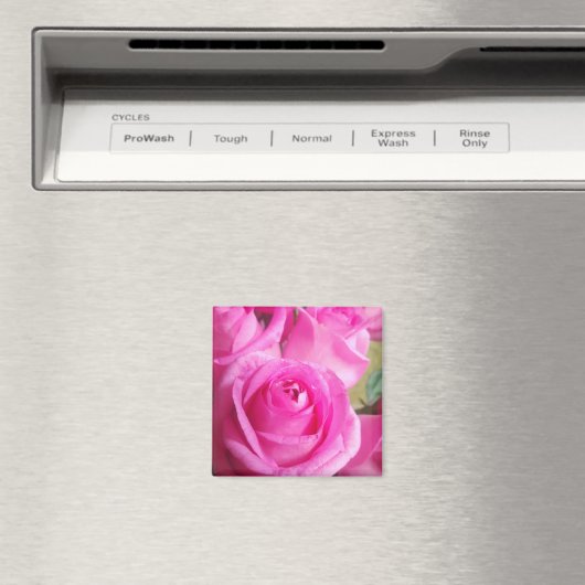 Lebhafte rosa Rosen Magnet (In Situ (Geschirrspüler))