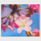 Lebhafte rosa Sakura-Blüten und ein klarer blauer  Geschenkpapier (Flach)