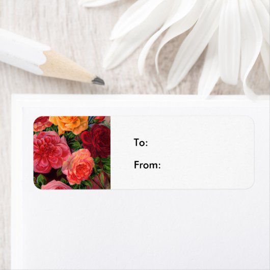 Lebhafte Rose (Insitu)