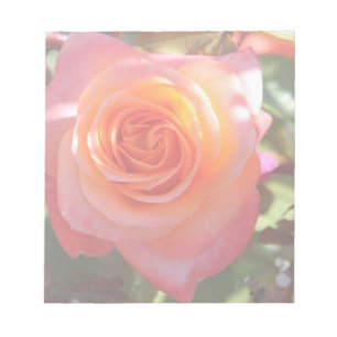 Lebhafte Rose Notizblock