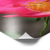 Lebhafte Rosenblätter 8x10 Fotodruck (Ecke)