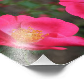 Lebhafte Rosenställe Abstrakte Blumenblätter Art 8 Fotodruck (Ecke)