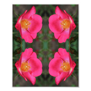 Lebhafte Rosenställe Abstrakte Blumenblätter Art 8 Fotodruck