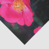 Lebhafte Rosenställe Abstrakte Blumendekoupage Seidenpapier (Ausschnitt)