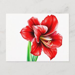 Lebhafte rote Amaryllis in Wasserfarbe Postkarte