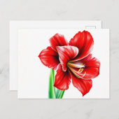 Lebhafte rote Amaryllis in Wasserfarbe Postkarte (Vorne/Hinten)