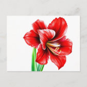 Lebhafte rote Amaryllis in Wasserfarbe Postkarte (Vorderseite)