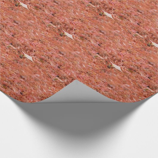 Lebhafte rote Herbstreben Geschenkpapier (Ecke)