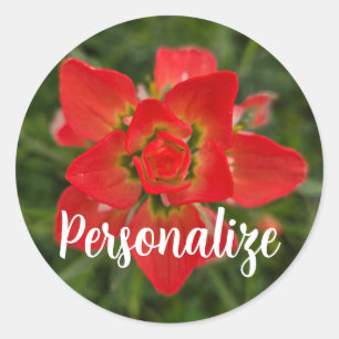 Lebhafte Rote Pinsel-Wildblume Runder Aufkleber