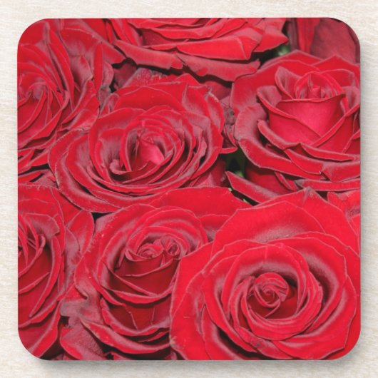 Lebhafte Rote Rosen Getränkeuntersetzer (Vorderseite)