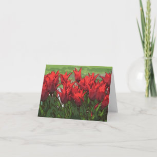 Lebhafte rote Tulpen von Aquarell Karte