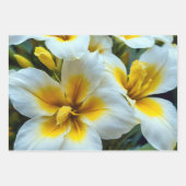 Lebhafte rote und weiße Lilien Geschenkpapier Set (Vorderseite 3)