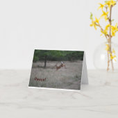 Lebhafte Rotwild Notecard Karte (Gelbe Blume)