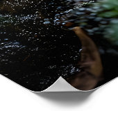 Lebhafte Schlange im Regenwald Poster (Ecke)