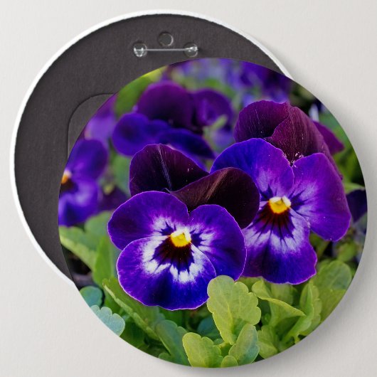 Lebhafte, schöne Lila Mohnfotografie Button (Vorne & Hinten)