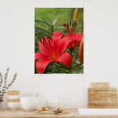 Lebhafte Schönheit - von W. Michael Ley - ... Poster (Küche)